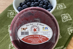 Conebella-yogurt-blueberry