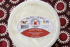 Conebella-yogurt-plain