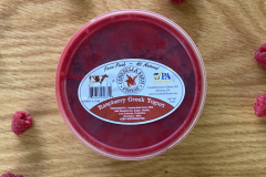 Conebella-yogurt-raspberry2