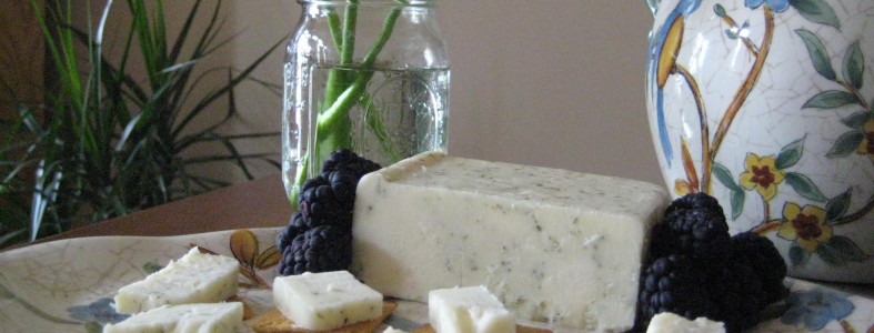 Rediscover Classic Recipes with Conebella Cheese Conebella_Cheese_Set_up