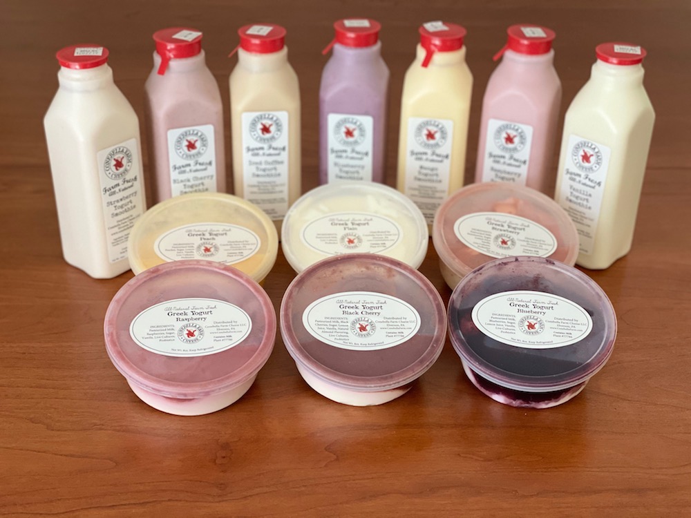 Conebella Farm Yogurt & Smoothies