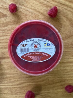 Raspberry Greek Yogurt
