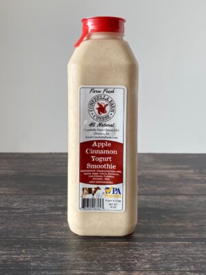 Apple Cinnamon Yogurt Smoothie