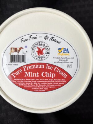 Mint Chip Ice Cream