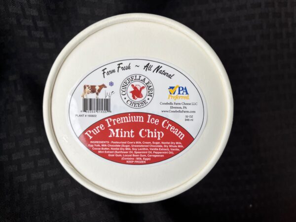 Mint Chip Ice Cream